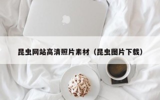 漳浦昆虫网站高清照片素材（昆虫图片下载）